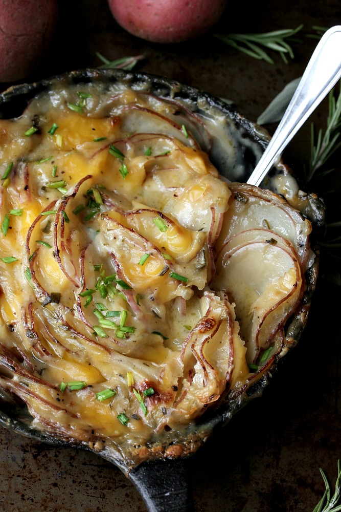 Golden and bubbly Cheesy Garlic-Herb Scalloped Potatoes garnished with fresh parsley in a white baking dish.