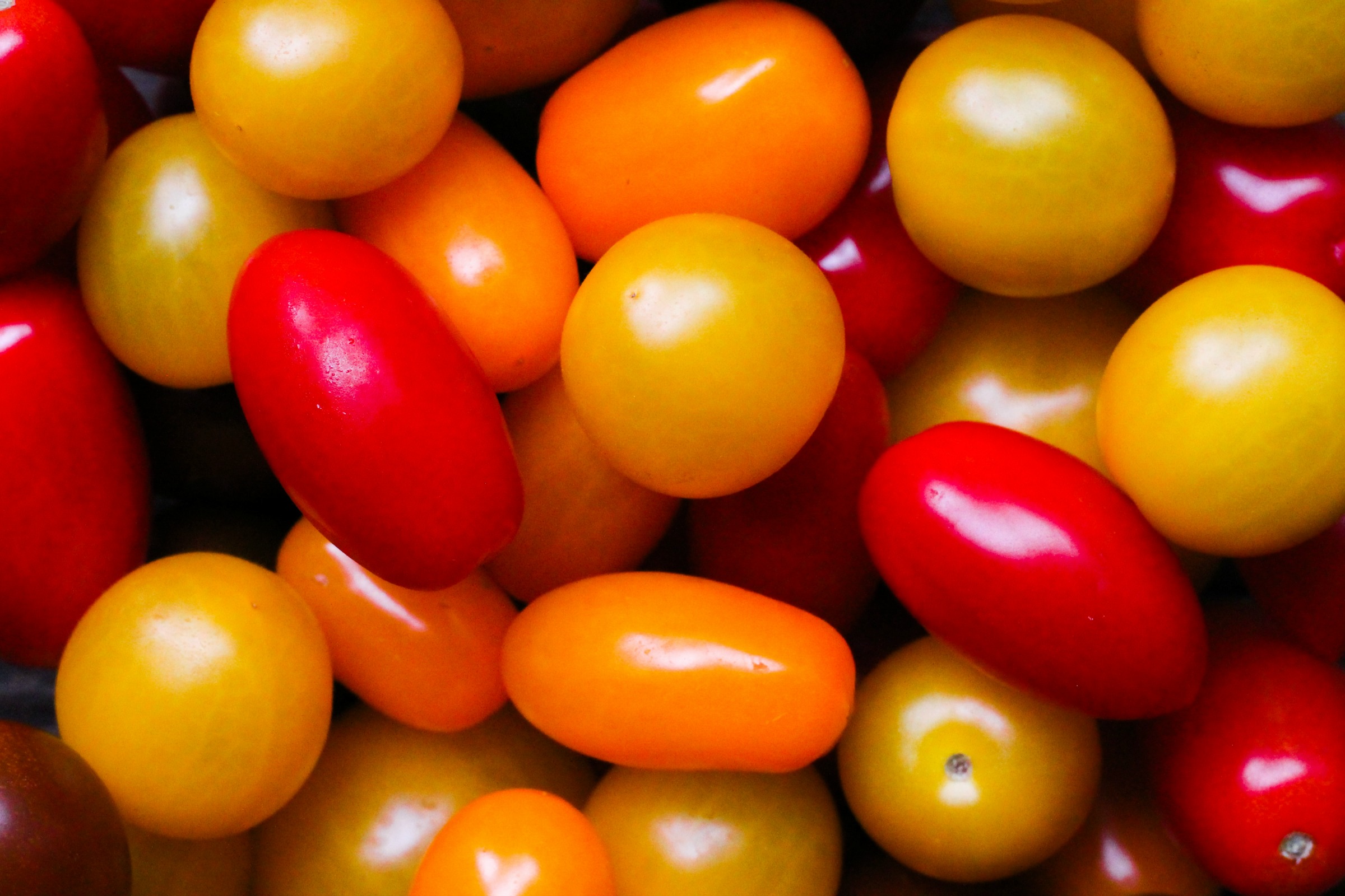 Fresh tomatoes for pea pesto bruschetta topping.