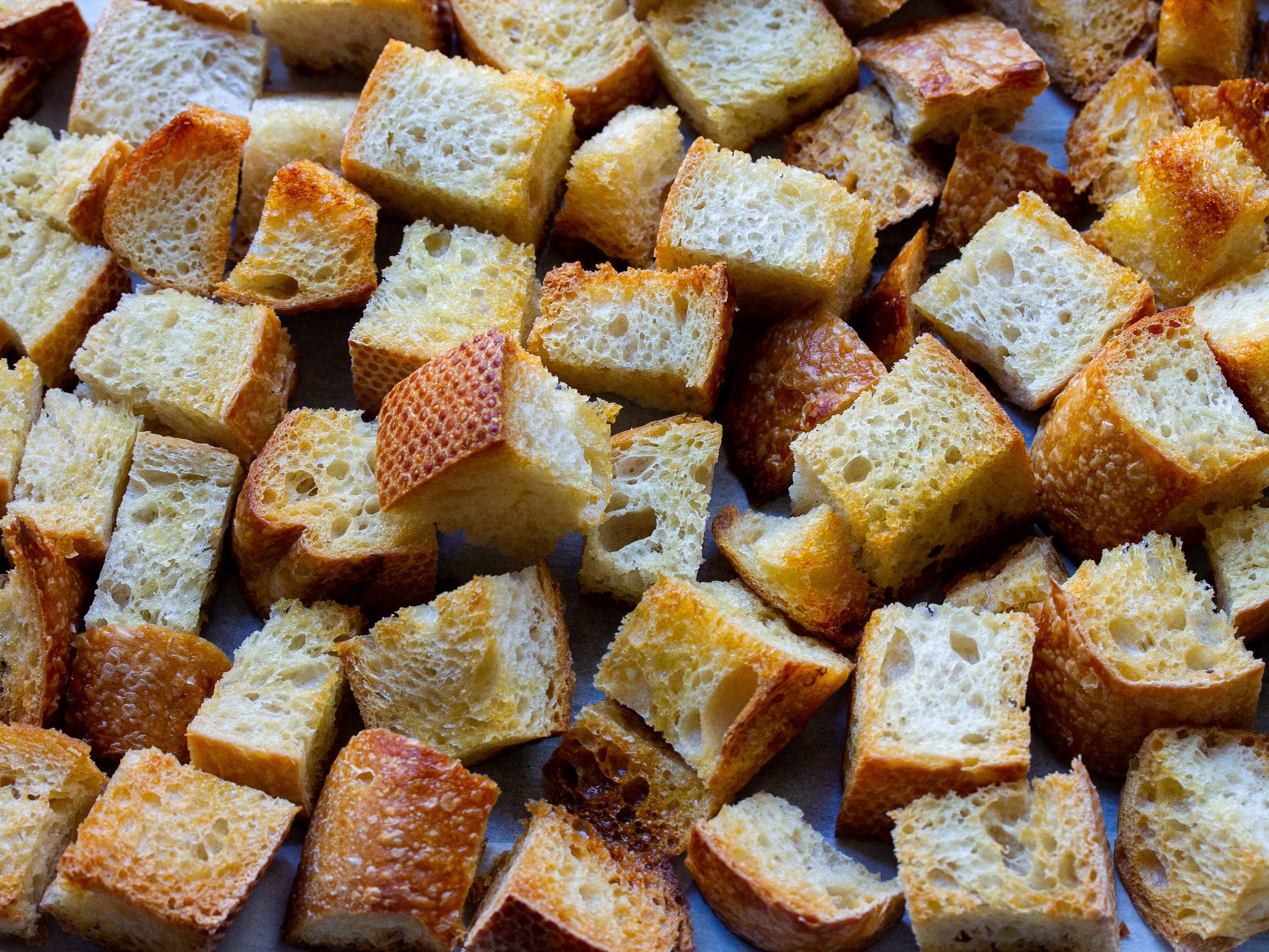Toasted bread for panzanella salad