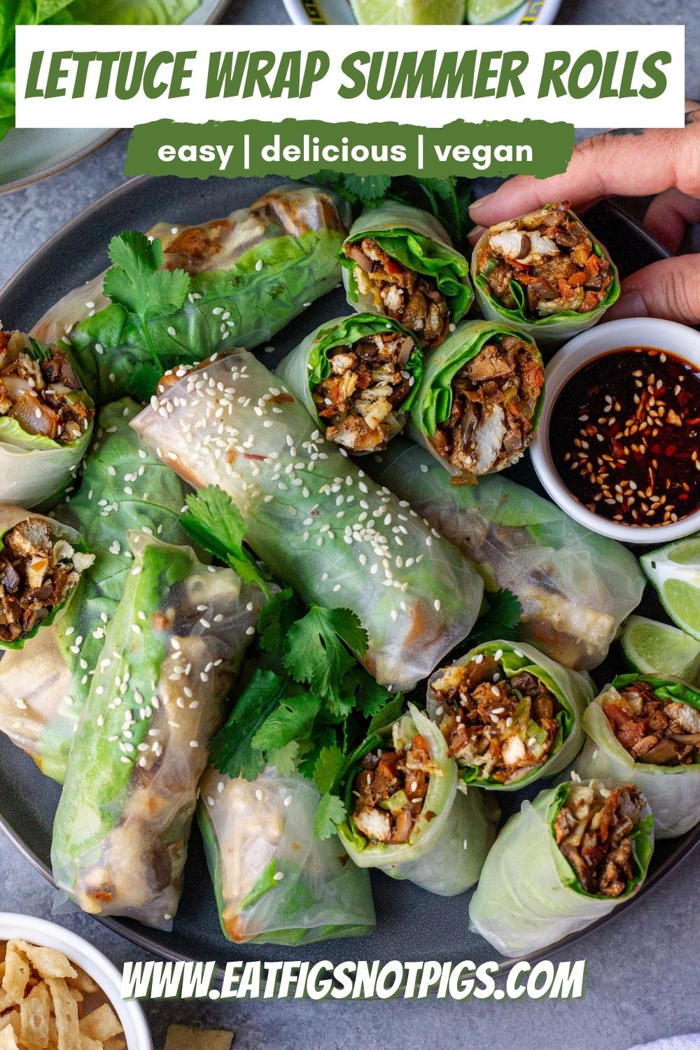 vegan summer rolls pin