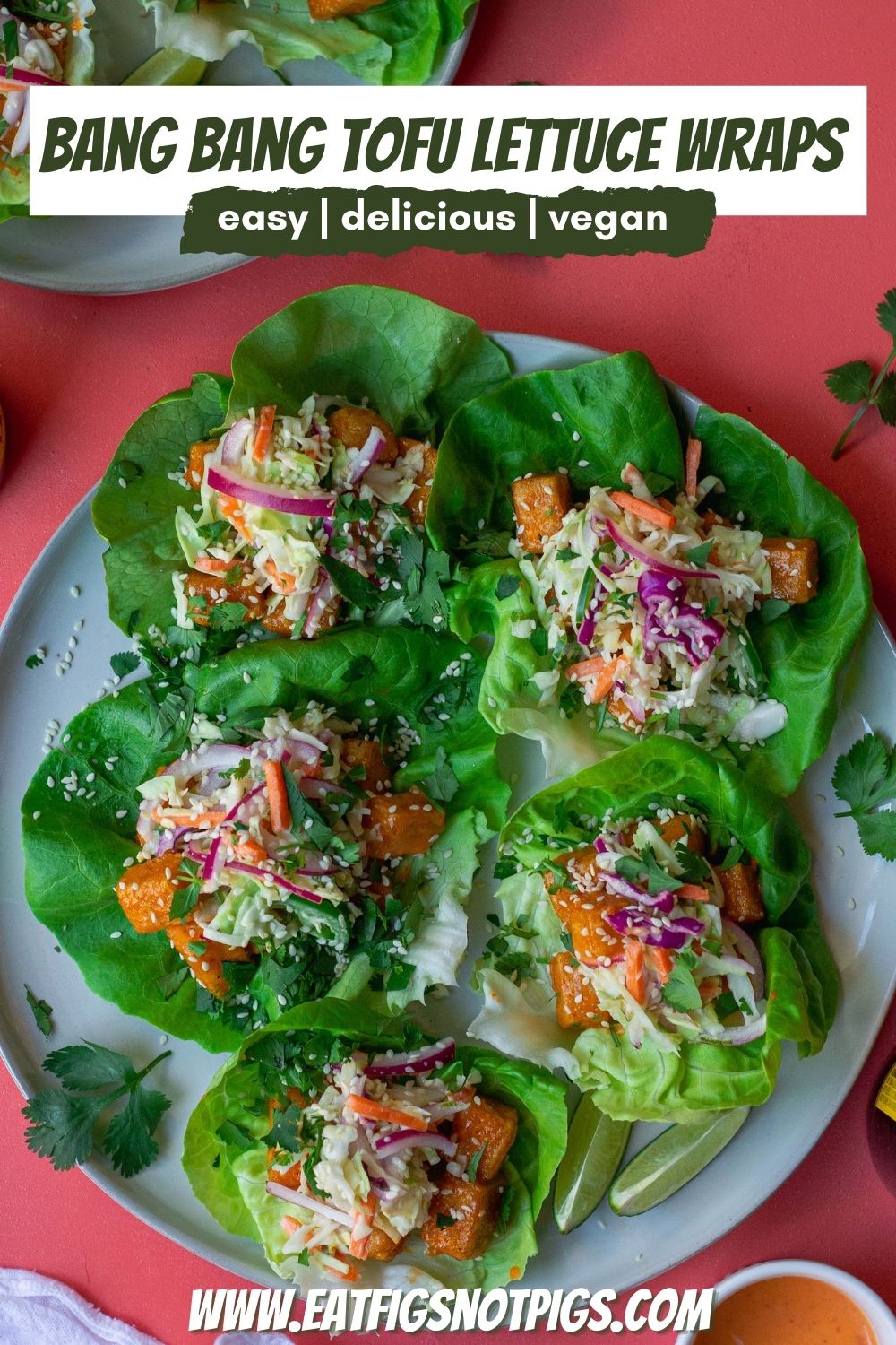 Vegan Bang Bang Lettuce Wraps
