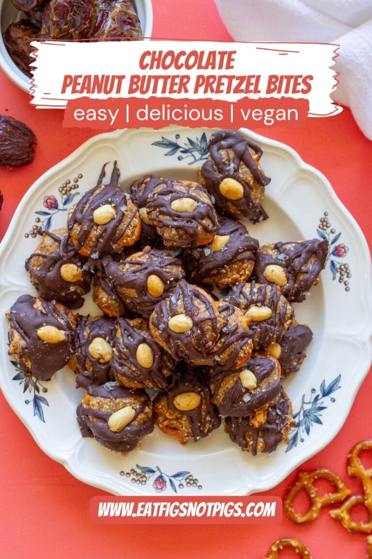Chocolate Peanut Butter Pretzel Bites Eat Figs Not Pigs chocolate-peanut-butter-pretzel-bites-eat-figs-not-pigs